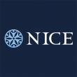 logo - Nice