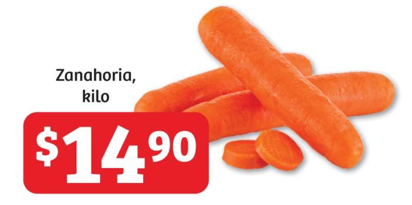 Zanahoria