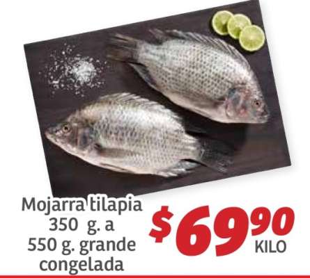 Mojarra tilapia