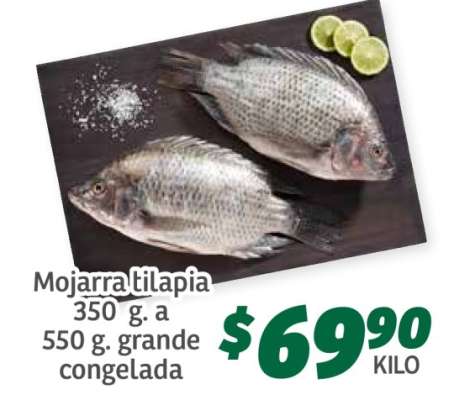 Mojarra tilapia
